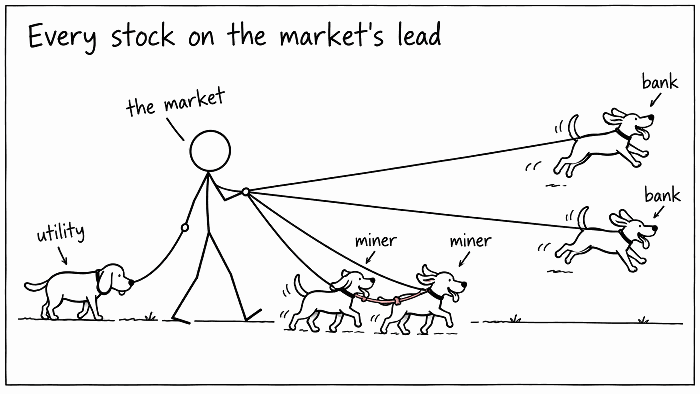 A cartoon titled Every stock on the market's lead. A stick figure labelled the market walks five dogs. Two labelled bank bound far ahead on long taut leads, one labelled utility plods behind on a short slack lead, and two labelled miner trot side by side, tied to each other by a pink rope the walker has not noticed.